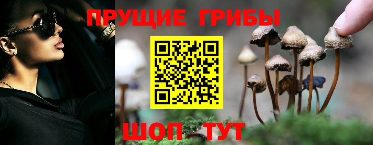 Волжск  Псилоцибиновые грибы ЛСД  дарнет шоп  Вход с VPN 